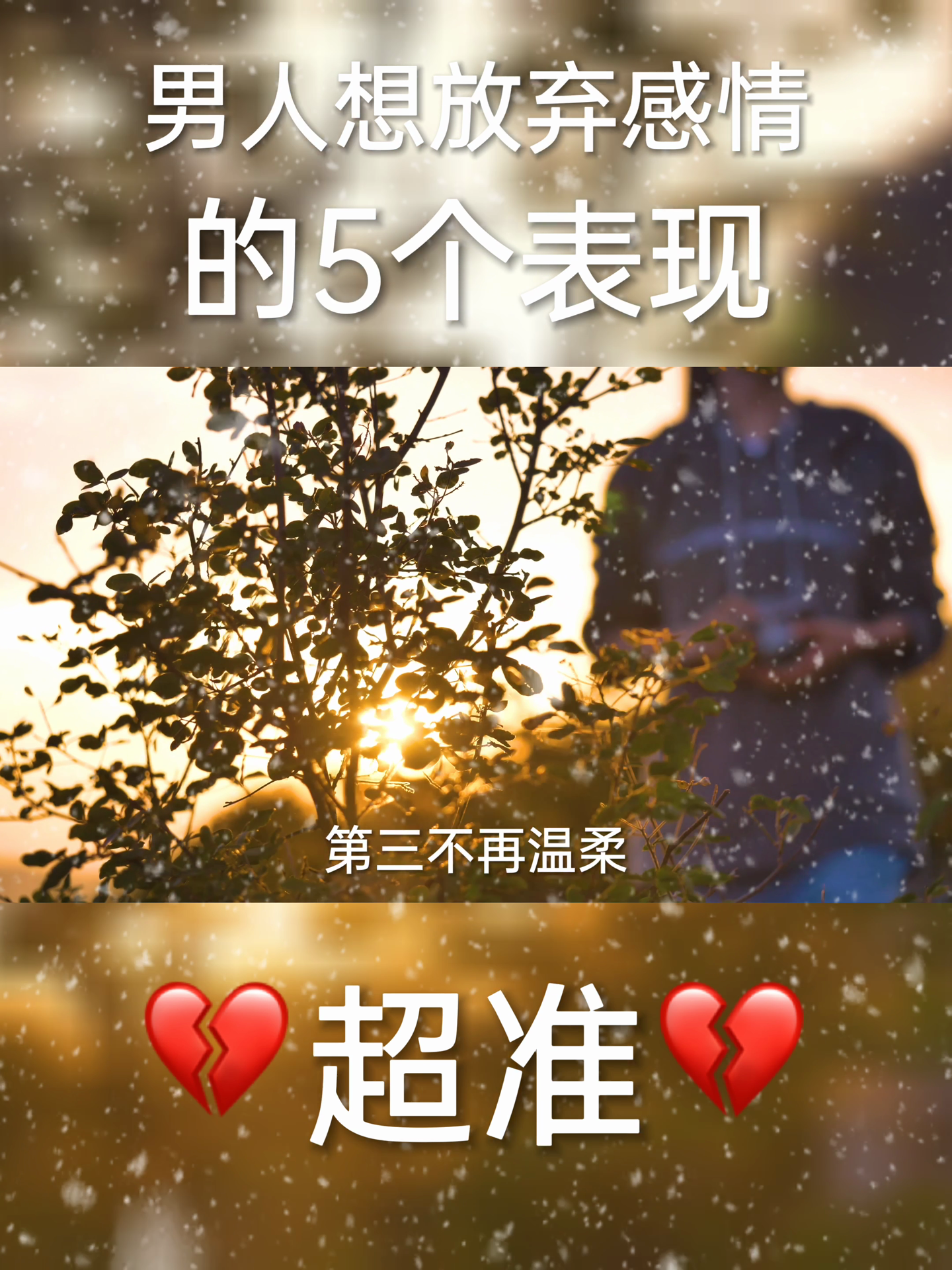 重逢梦境，五个月后的情感余温