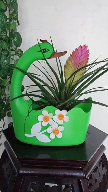 短视频制作花朵教程，短视频制作方法和教程