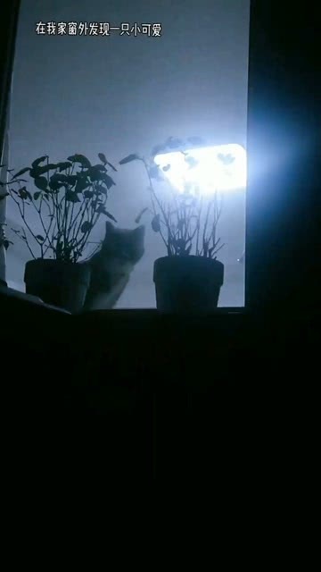 下班回家的沙雕文案图片，下班回家的搞笑说说