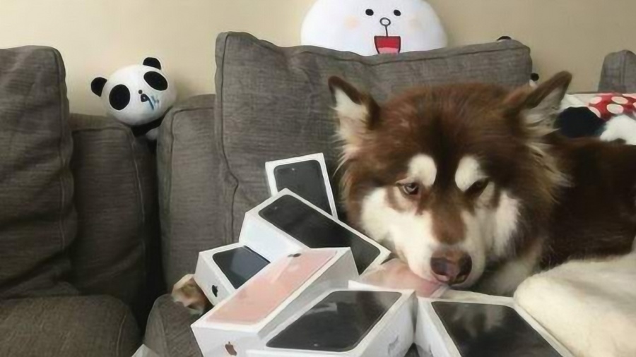 0