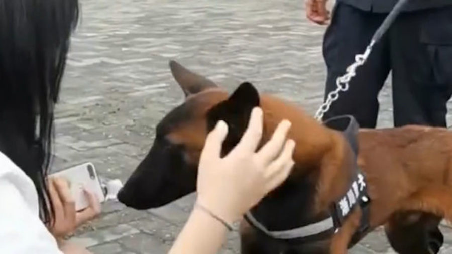 0