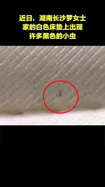 女性下面长了黑色疙瘩，女性下面长了黑色疙瘩有点痛-第4张图片-Otaku Male Knowledge