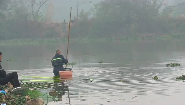 梦回鱼塘，离婚阴影下的心灵钓鱼之旅