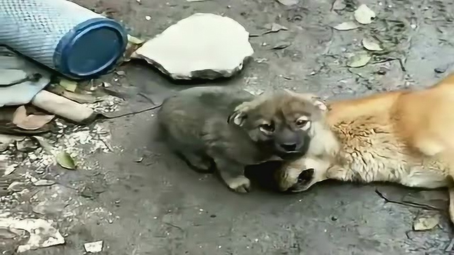 0
