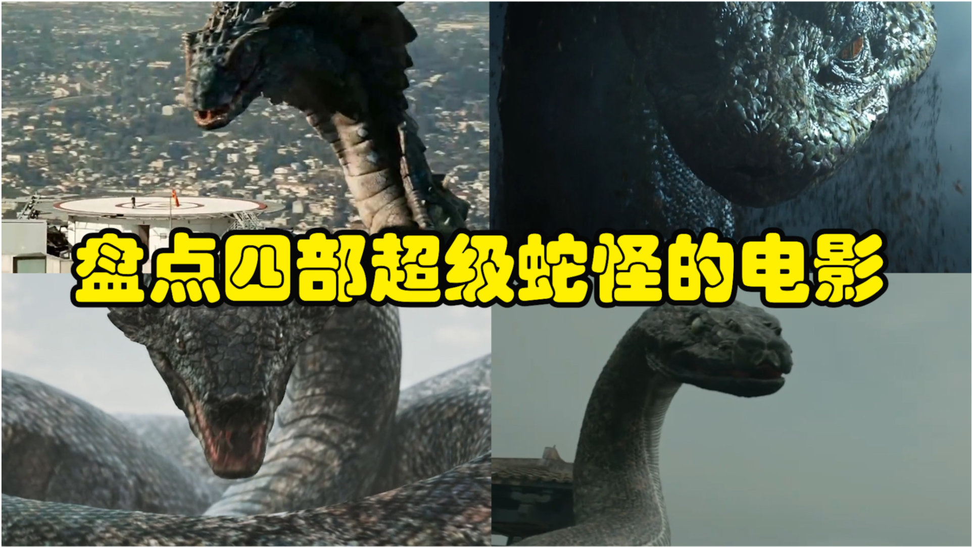 梦回蛇影，解析我梦见别人打蛇却未果而逃的深层寓意