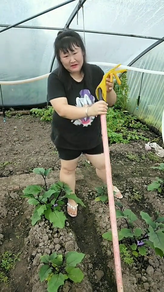花娘游玩攻略，花娘游玩攻略大全