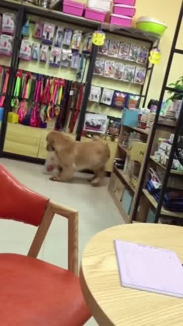 你是不是也正在为一张惊艳的室内效果图而绞尽脑汁？别急，今天就带你揭开那些高颜值、高转化率效果图背后的秘密武器！