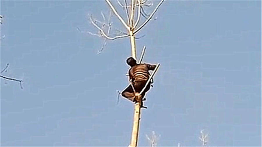 0
