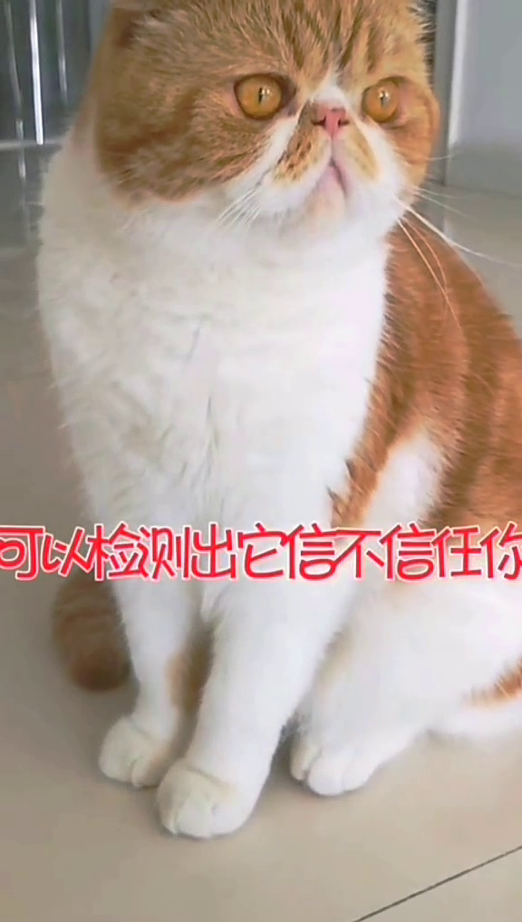 哈哈哈 我的妈耶 你是想火吗