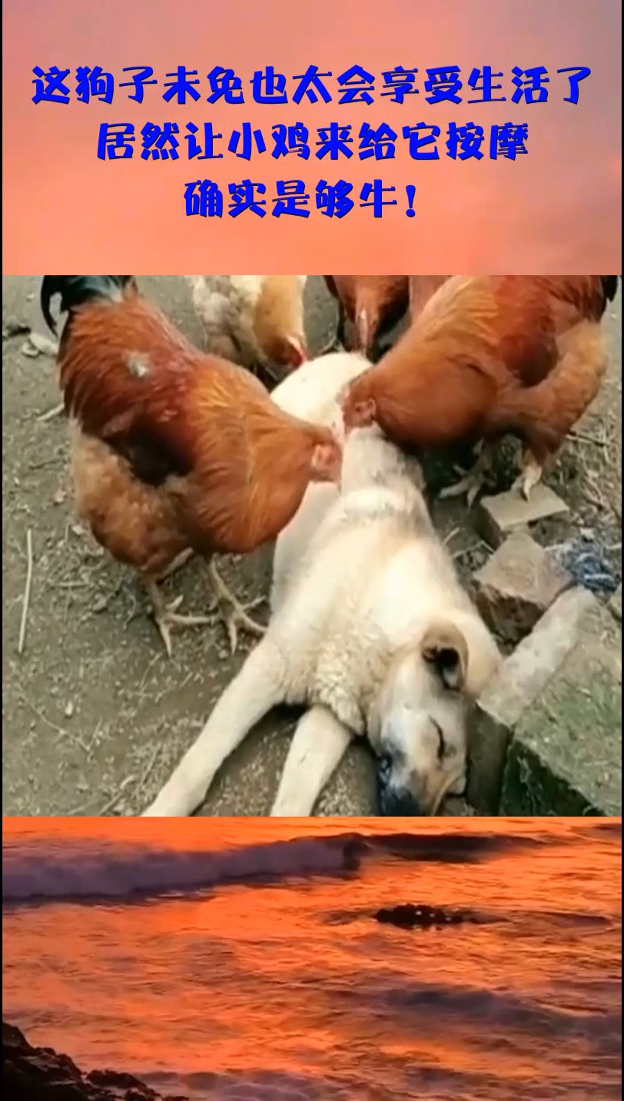 0