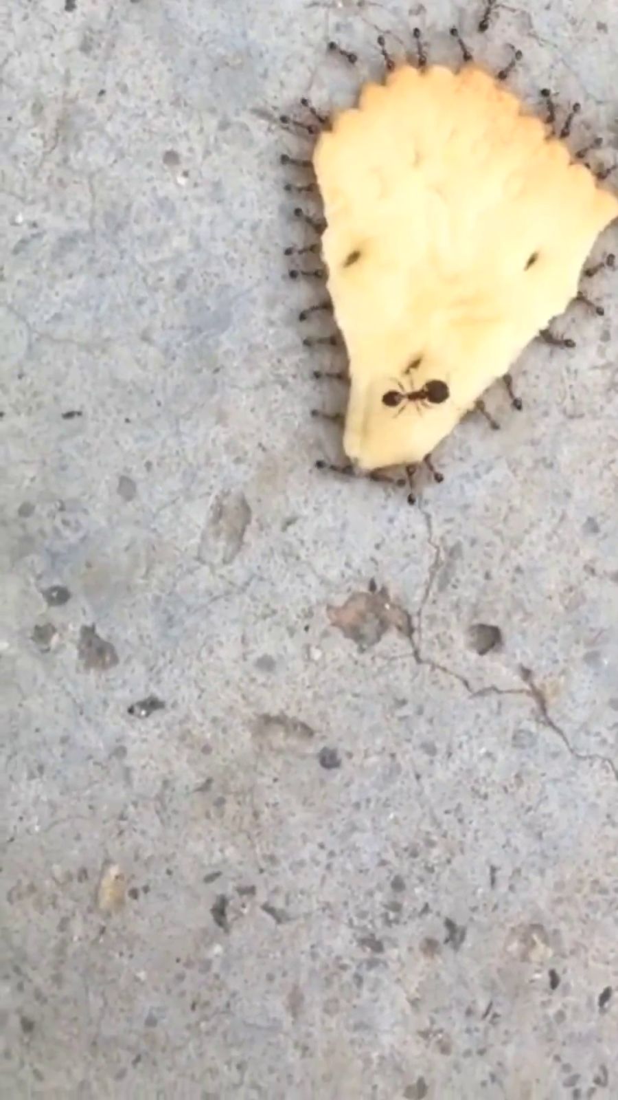 0