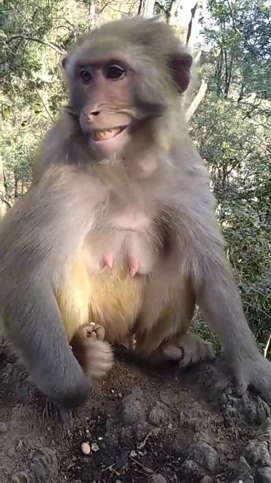 0