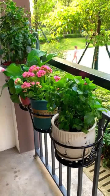 旧房翻新避坑阳台花架这样装，5000元实现花园自由！