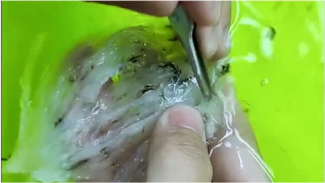 燕窝制作短视频，燕窝制作短视频教程