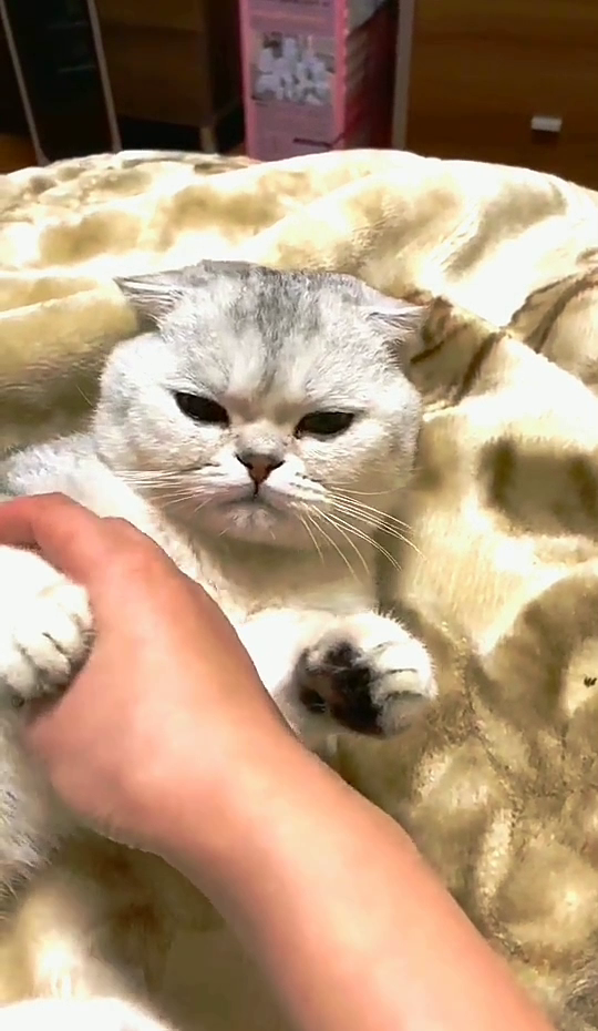 哈哈哈 我的妈耶 你是想火吗