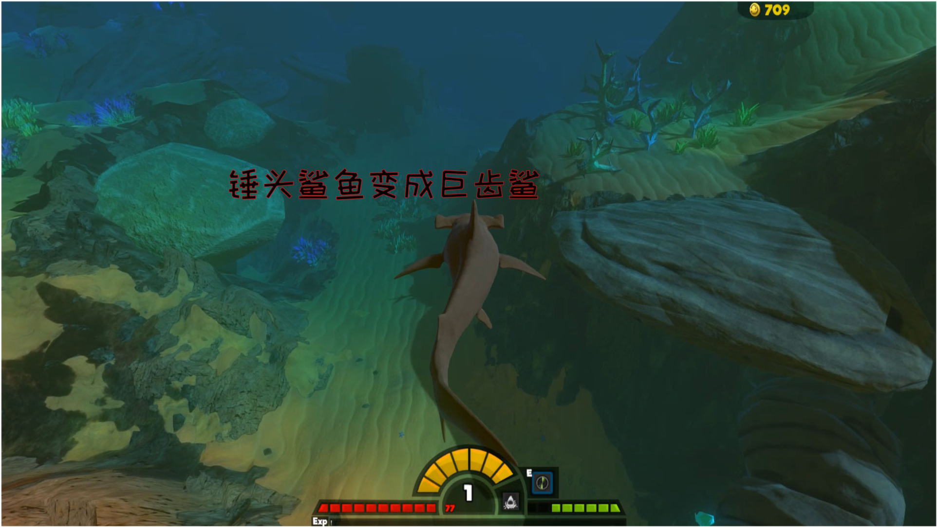 梦境之谜，手机落水与鱼之吞噬——解析一场离奇的梦境