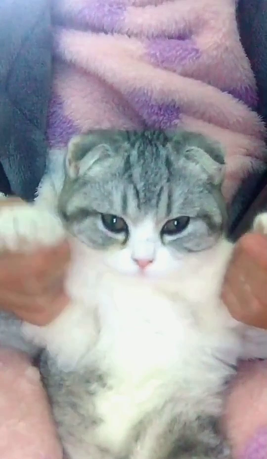 哈哈哈 我的妈耶 你是想火吗