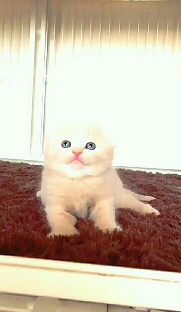 哈哈哈 我的妈耶 你是想火吗