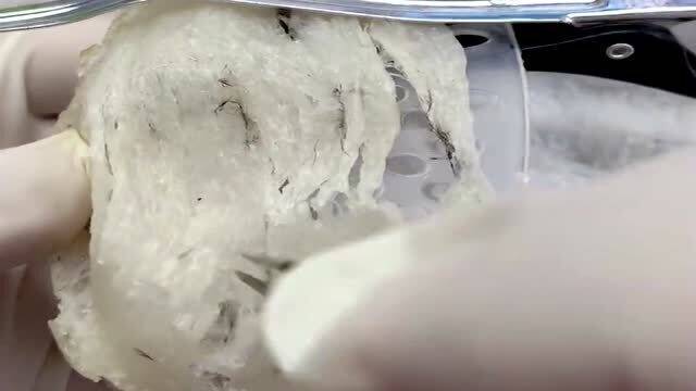 燕窝制作短视频，燕窝制作短视频教程