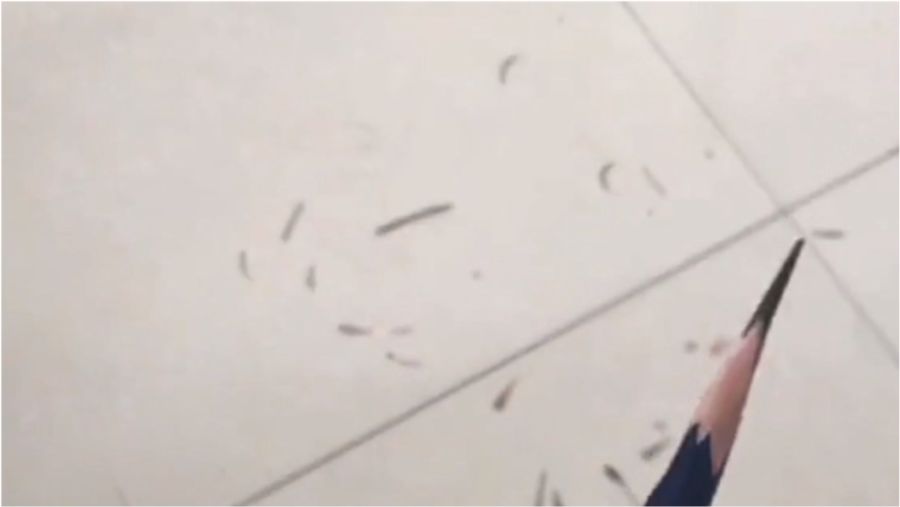 0