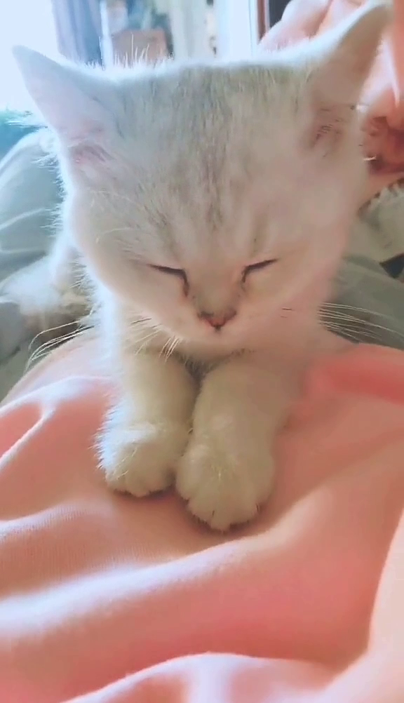 哈哈哈 我的妈耶 你是想火吗