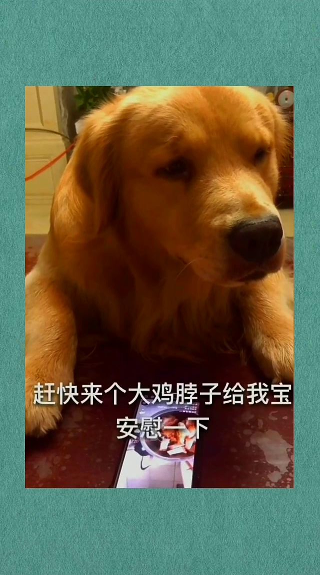 哈哈哈 我的妈耶 你是想火吗