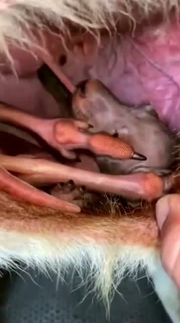 0
