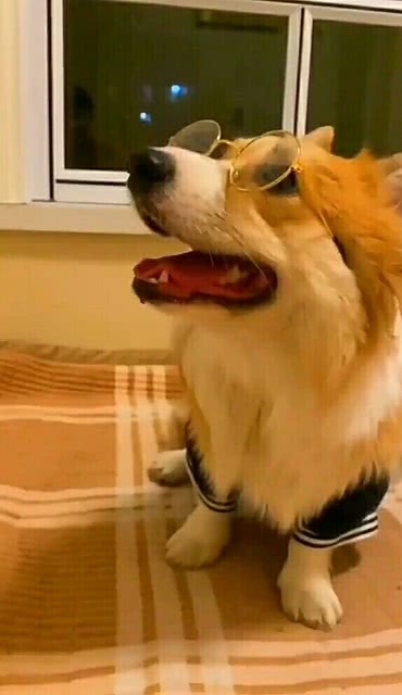 哈哈哈 我的妈耶 你是想火吗