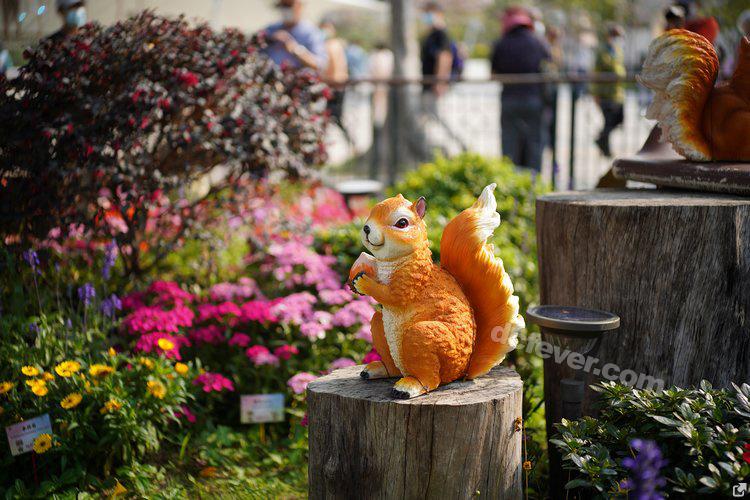 锐不可挡福伦达 apo-lanthar 50mm f 2 上手详测