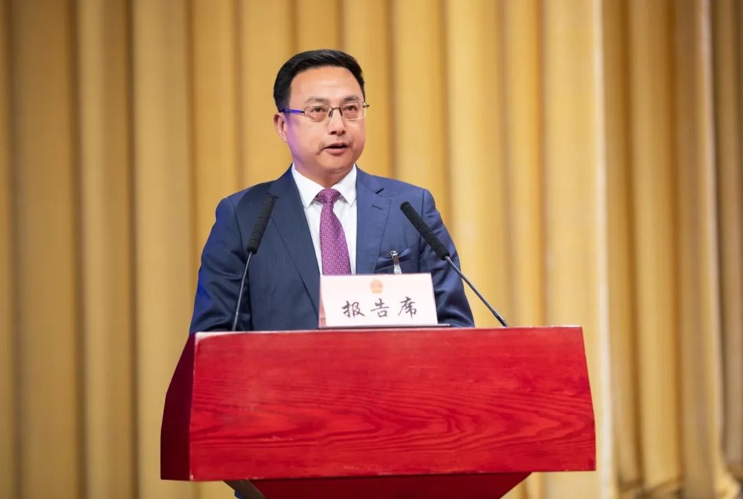 代区长徐炜波代表区人民政府 向大会作政府工作报告 "十三五"期间