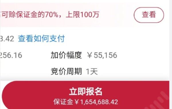 王思聪名下企业“熊猫互娱”被拍卖超1100万债权，拍下等于“接盘侠”？