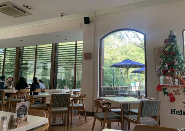 新元素被曝破产清算，记者走访上海多家苦撑着的门店