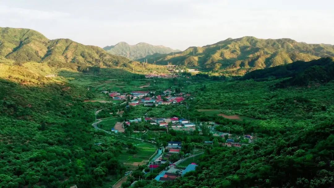 致富路,抚顺市,石文镇,马纯文,养羊,八家子村,抚顺县,养蚕,柞树,郭