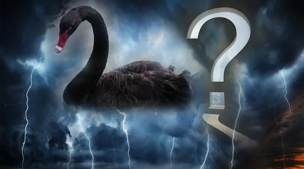 隆基起火、国科微遭闷杀、NFT被点名——“大牛股”们近日“黑天鹅”频发