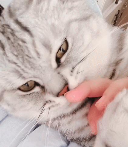 422_485gif 动态图 动图