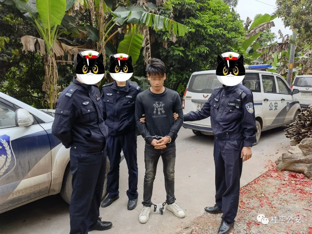 桂平,广西,公众号