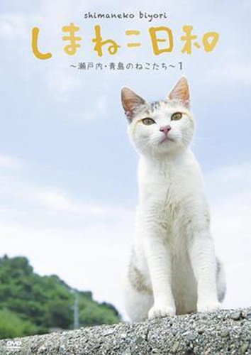印度洋 猫岛 生活5万只猫 岛上老鼠被吃光 还自学下海捕鱼