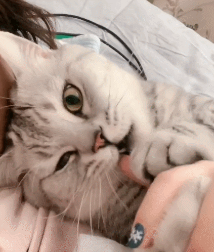 423_498gif 动态图 动图