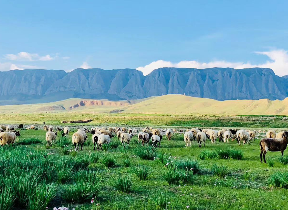 住进甘南奢华的帐篷酒店,住一晚要三千元,美得一塌糊涂