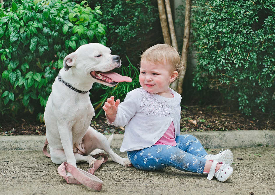萌娃和狗狗对接"暗号",一眼过去狗狗秒懂,一娃一狗默契十足