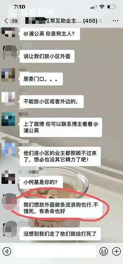 上海浦东一阳性病例家柯基犬被打死，居委会回应：考虑不周，会给予赔偿