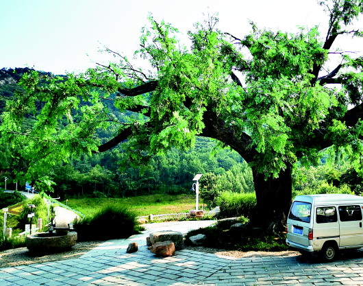 青岛西海岸新区后石沟村绘就乡村振兴美图
