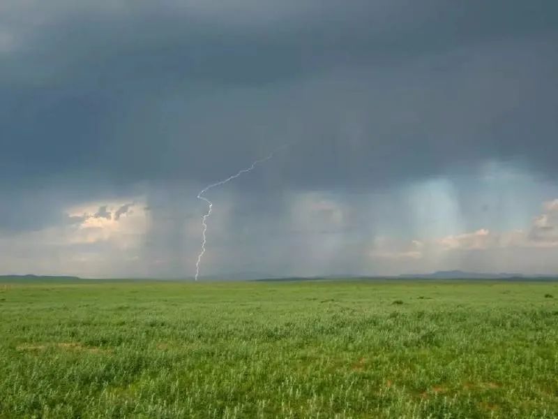 【诗中节令】春雷:只待新雷第一声『明月几时有』(53)