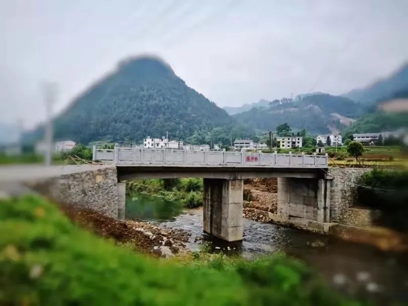 乡村振兴,板桥村,遵义市,遵义,苏国财,乡村,辣椒,村民