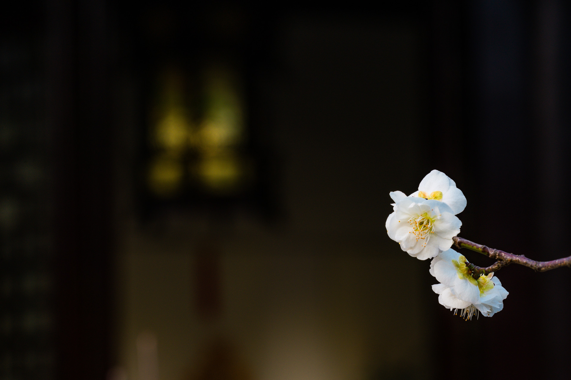 此文,写给逐渐老去的70后