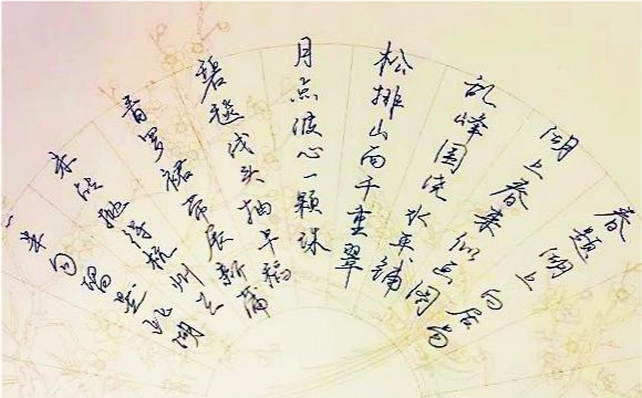 国民才女武亦姝的书法堪比书法家网友叫好专家却说还未入门