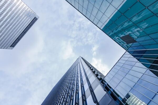 第四季度净利润同比下降43.37%，青岛国林科技2021年增收不增利