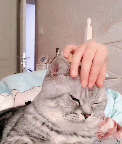 422_498gif 动态图 动图