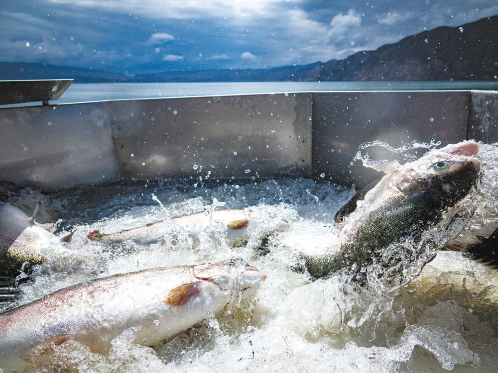 品牌亮丽,宜居宜业的龙羊峡