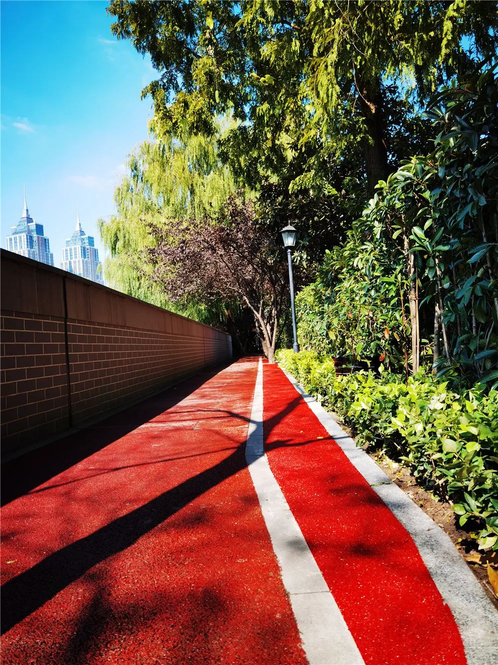 苏州河健身步道(华政段)拓宽啦!一起来看现场美图